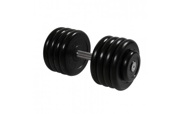 Гантель Профи, 43,5 кг MB Barbell MB-FdbM-B43,5 600_380