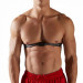 Кардио пояс Sole Fitness Chestbelt 75_75