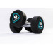 Гантели в уретане 10 кг Live Pro Studio Dumbbells LP8075-10 75_75