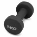 Гантель для аэробики неопреновая 5 кг PRCTZ NEOPRENE DUMBBELL PS7135 75_75