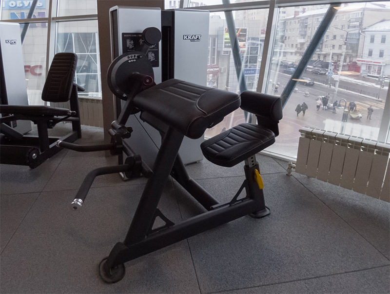 Бицепс/Трицепс сидя Kraft Fitness EXACT KFDXBT 800_605