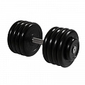 Гантель Профи, 43,5 кг MB Barbell MB-FdbM-B43,5 120_120